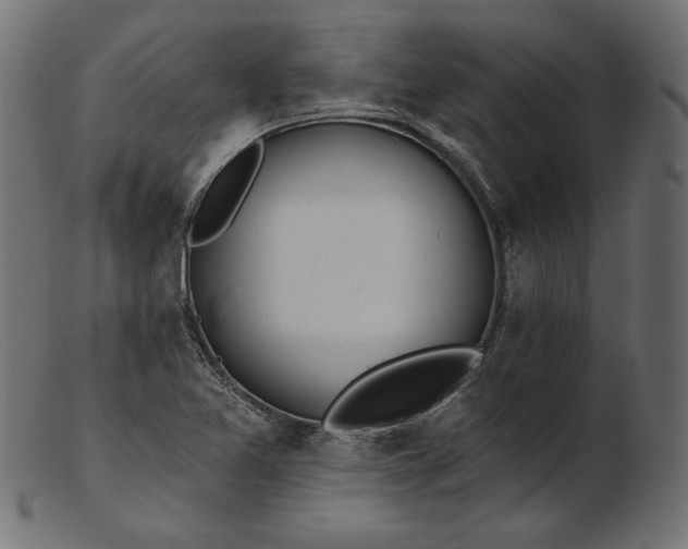 X0000103231365200809111521