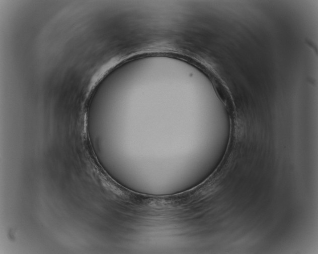 X0000103231366200809111521