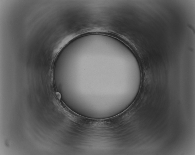 X0000103231367200809111521