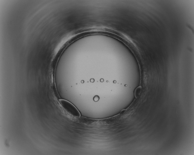 X0000103231368200809111521