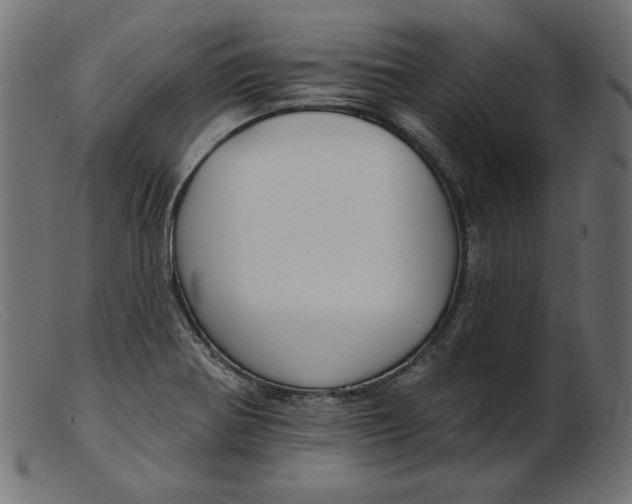 X0000103231370200809111521