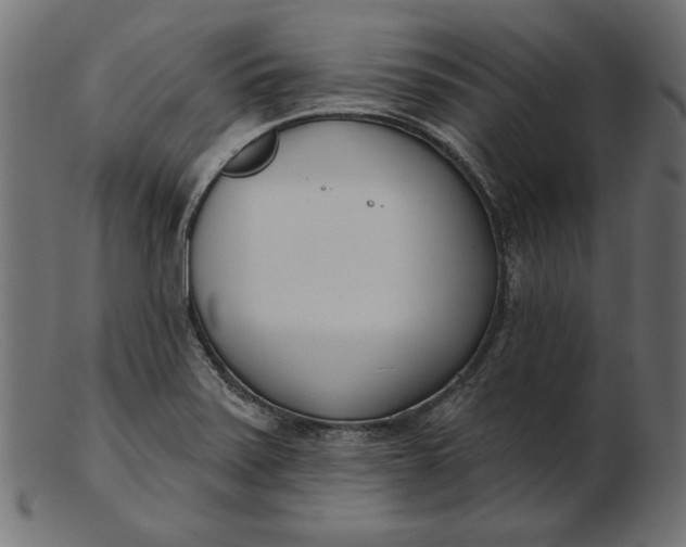 X0000103231371200809111521