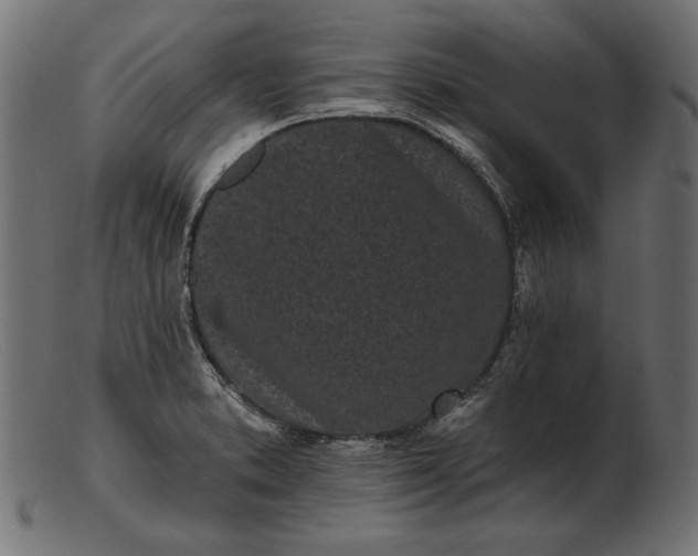 X0000103231373200809111521