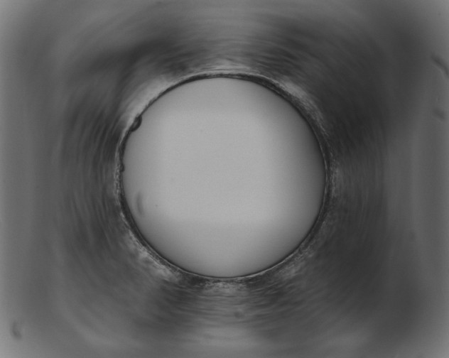 X0000103231374200809111521