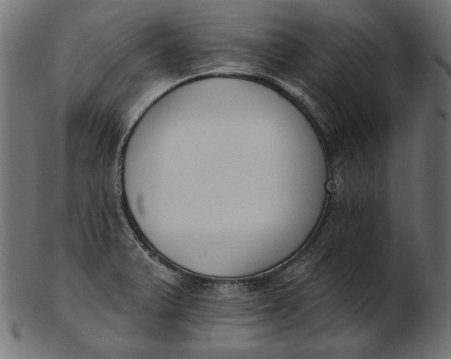 X0000103231375200809111521