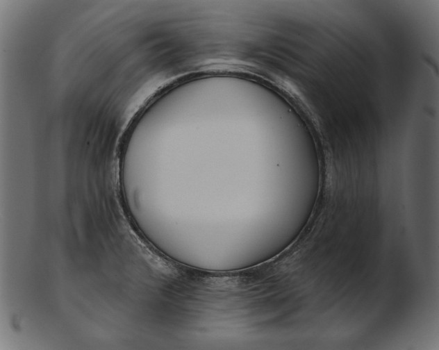 X0000103231376200809111520