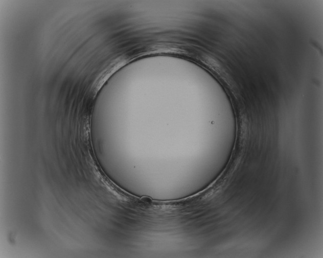 X0000103231377200809111520
