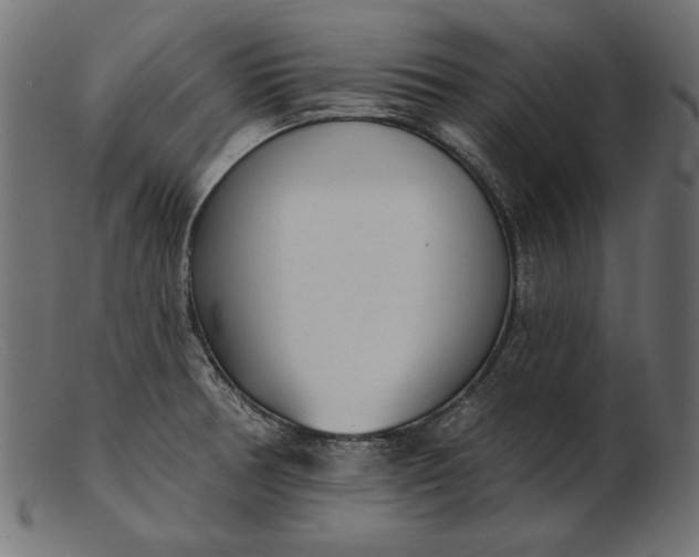 X0000103231378200809111520