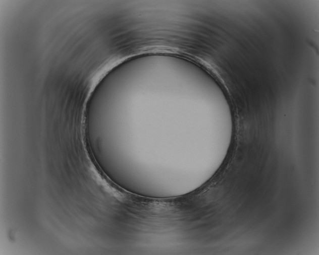X0000103231379200809111520