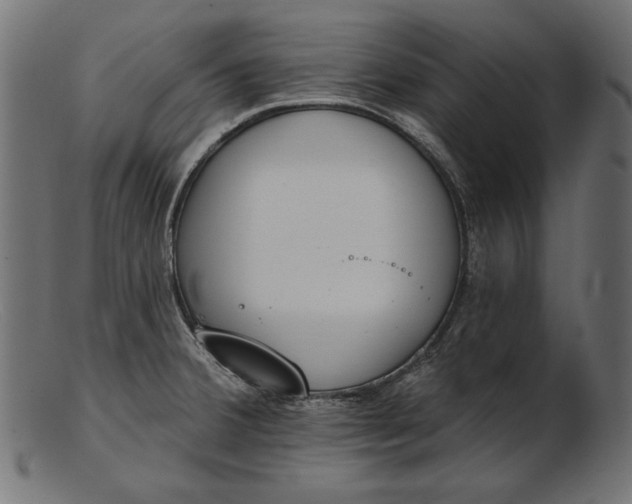 X0000103231380200809111520