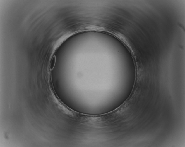 X0000103231381200809111520