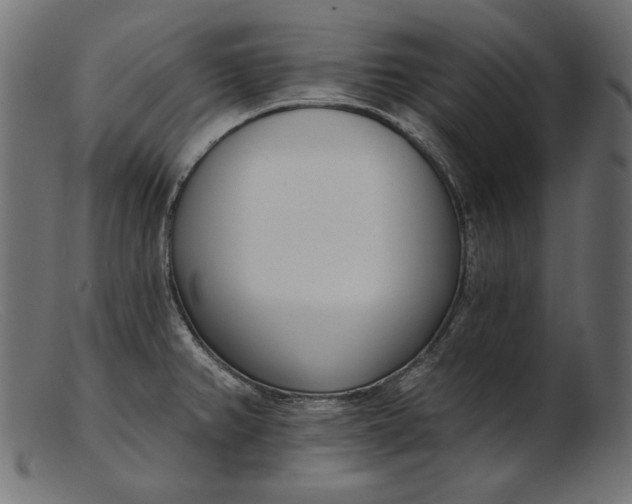 X0000103231382200809111520