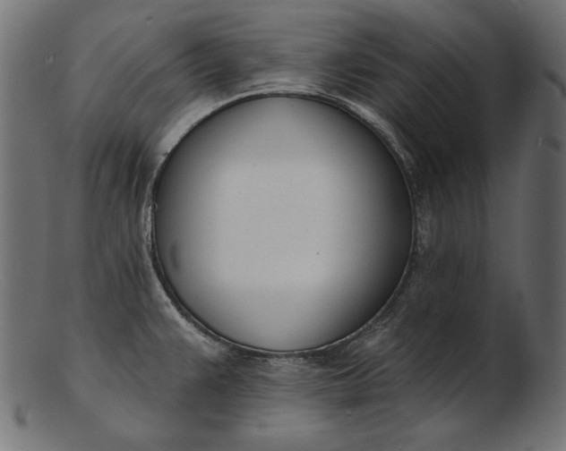 X0000103231383200809111520