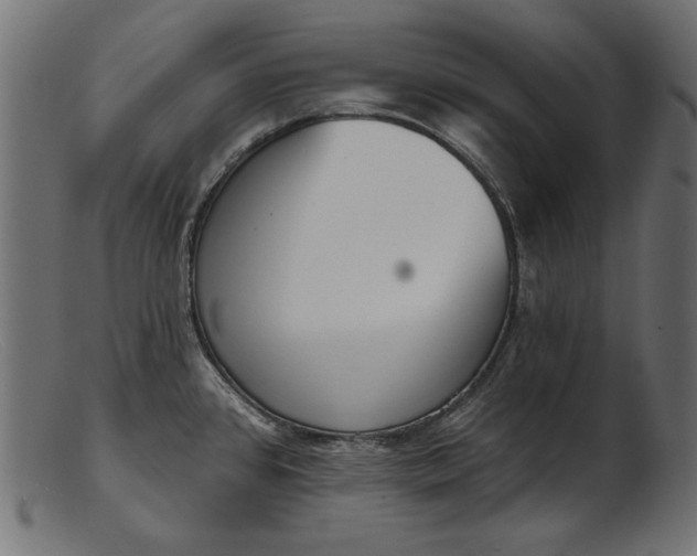 X0000103231384200809111520