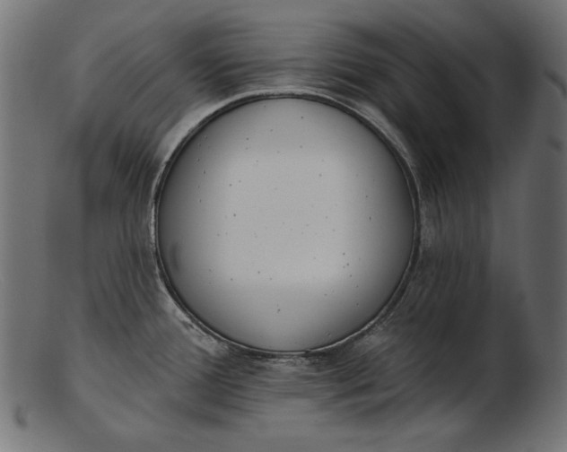 X0000103231388200809111520