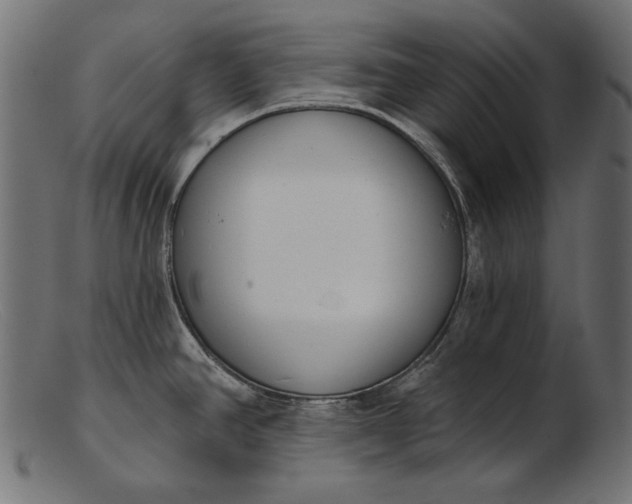 X0000103231390200809111520