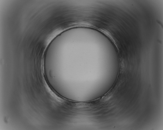X0000103231391200809111520