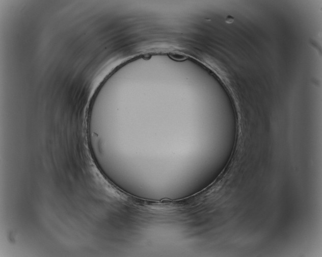 X0000103231392200809111520