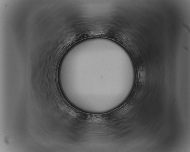 X0000103231393200809111519