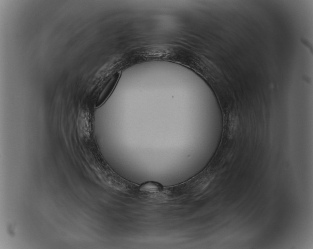 X0000103231394200809111519