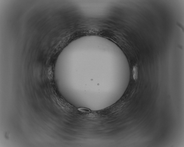 X0000103231395200809111519