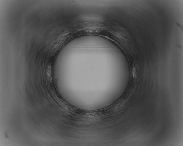 X0000103231396200809111519