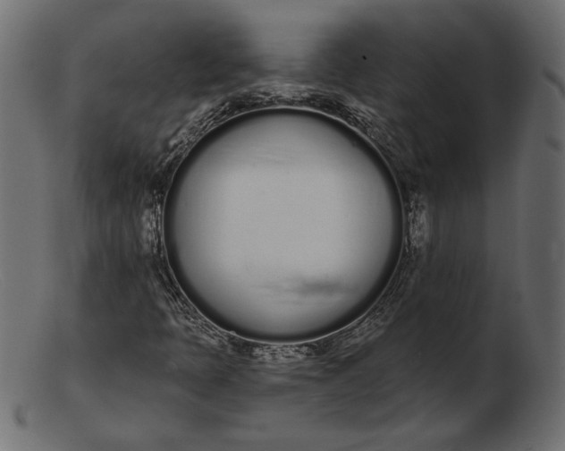 X0000103231397200809111519