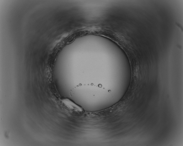 X0000103231398200809111520