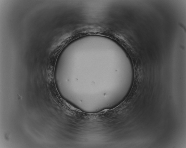 X0000103231399200809111520