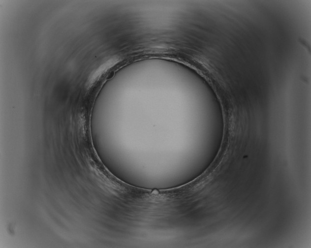 X0000103231402200809111520