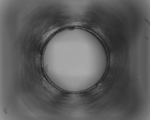 X0000103231404200809111520