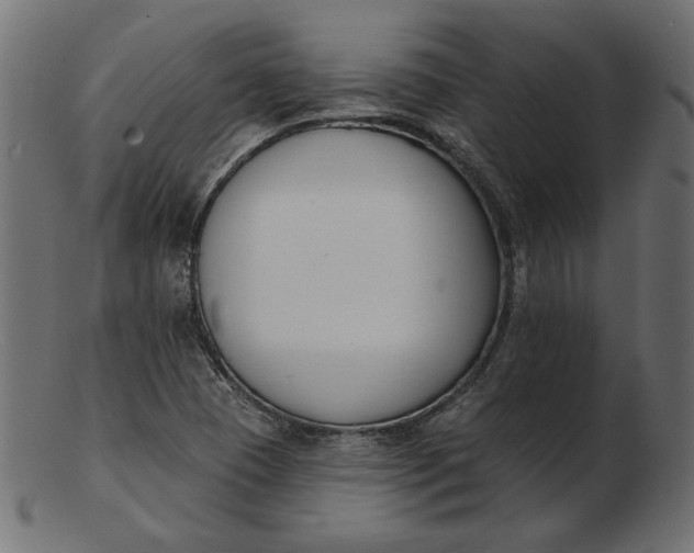 X0000103231409200809111520