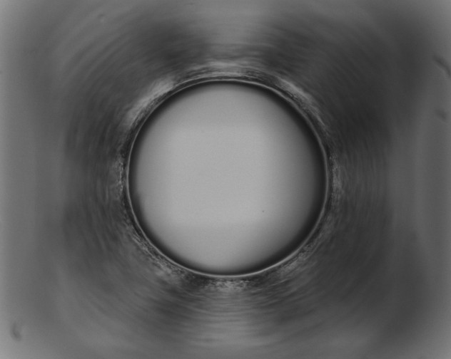 X0000103231411200809111520