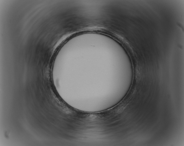 X0000103231412200809111520