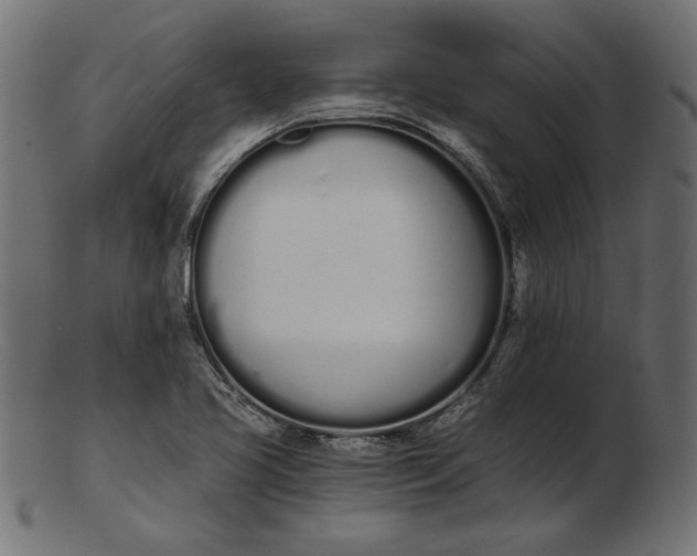 X0000103231413200809111520