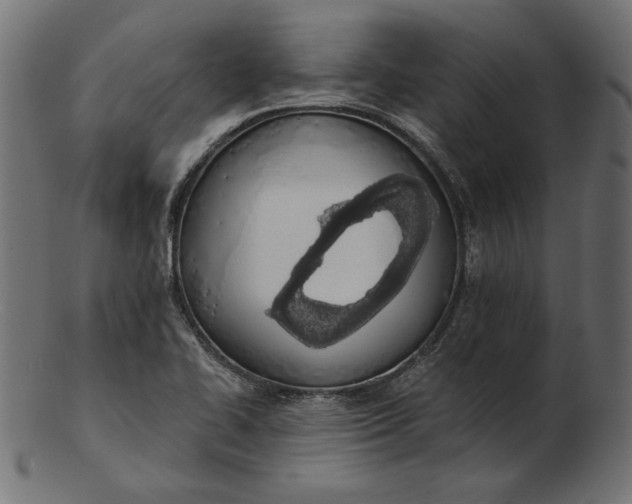 X0000103231414200809111520