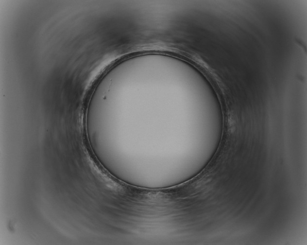 X0000103231416200809111520