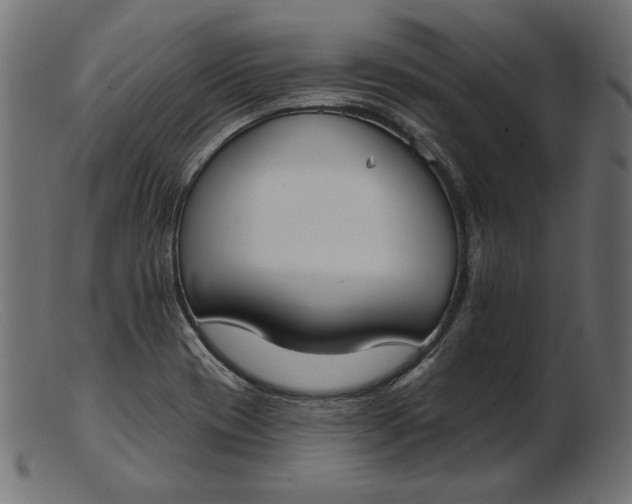 X0000103231417200809111520