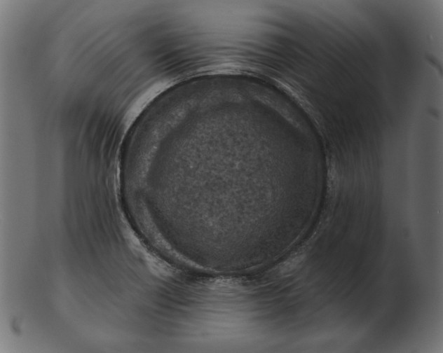 X0000103231418200809111520