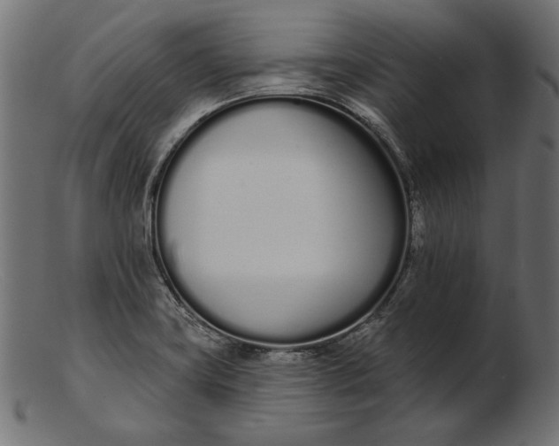 X0000103231419200809111520