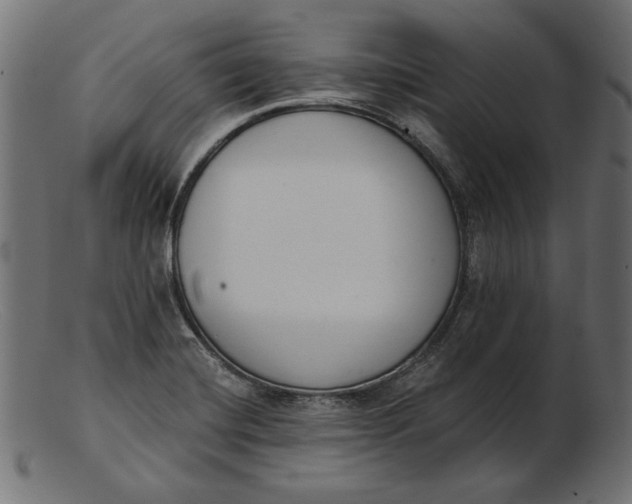 X0000103231420200809111520