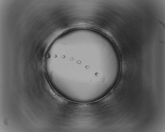 X0000103231421200809111520