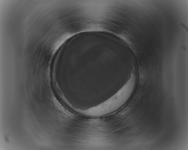 X0000103231422200809111520