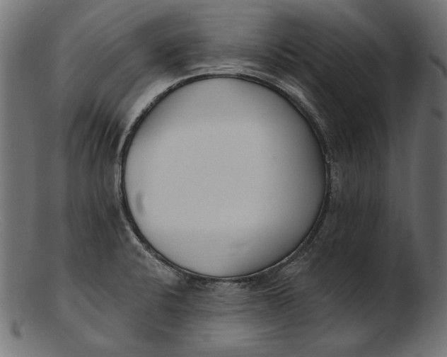 X0000103231424200809111520