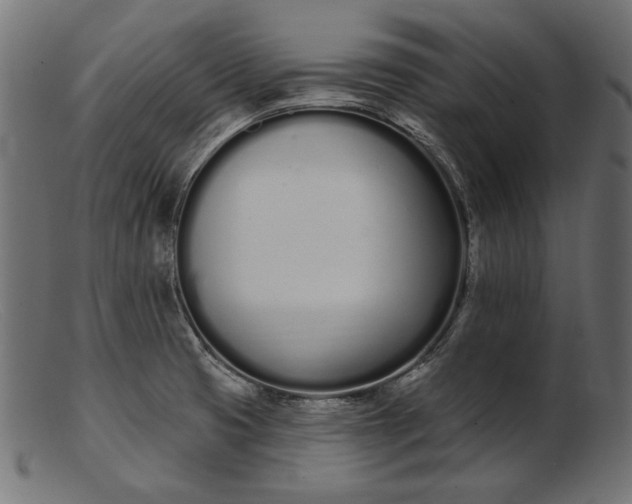 X0000103231425200809111520