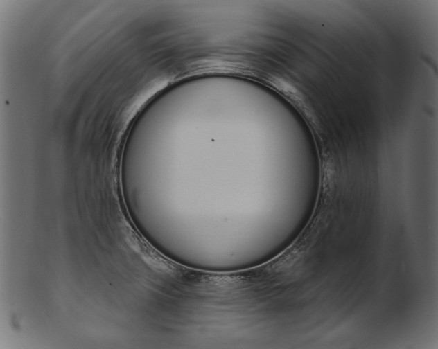 X0000103231427200809111520