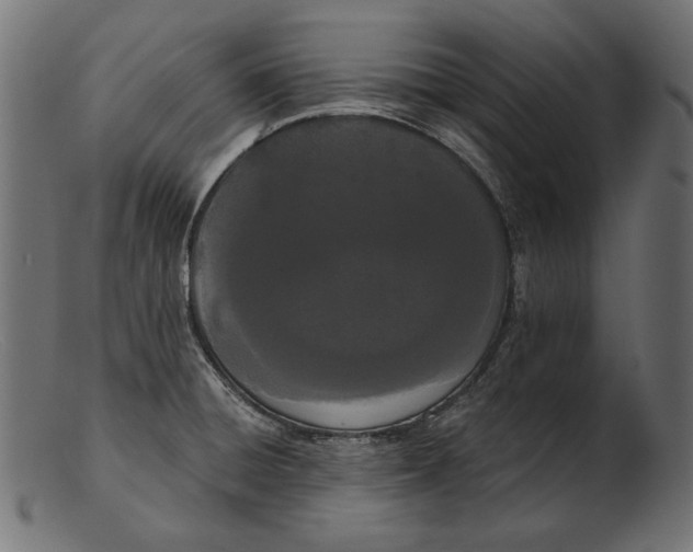 X0000103231428200809111520