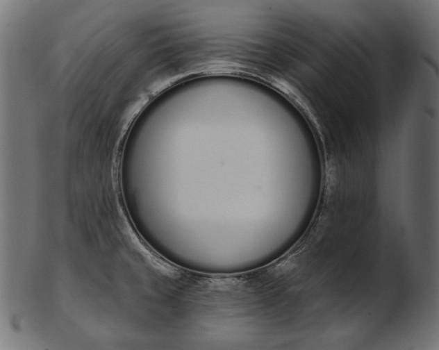 X0000103231429200809111520