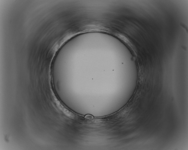 X0000103231431200809111520
