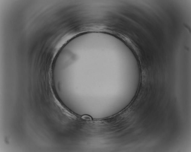 X0000103231432200809111520